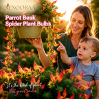 🪴🦜PARROTBEAK SPIDER PLANT BULBS - 🔥 BLOOMS FOR UP TO 300 DAYS A YEAR! 🦜Buy 6 Get 6 Free Bulbs🦜