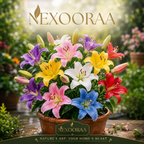 🌺COLORFUL PERFUME LILY BULBS—FRESH AND SWEET | 🔥Buy 6 Get 6 Free Bulbs🔥