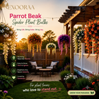 🪴🦜PARROTBEAK SPIDER PLANT BULBS - 🔥 BLOOMS FOR UP TO 300 DAYS A YEAR! 🦜Buy 6 Get 6 Free Bulbs🦜