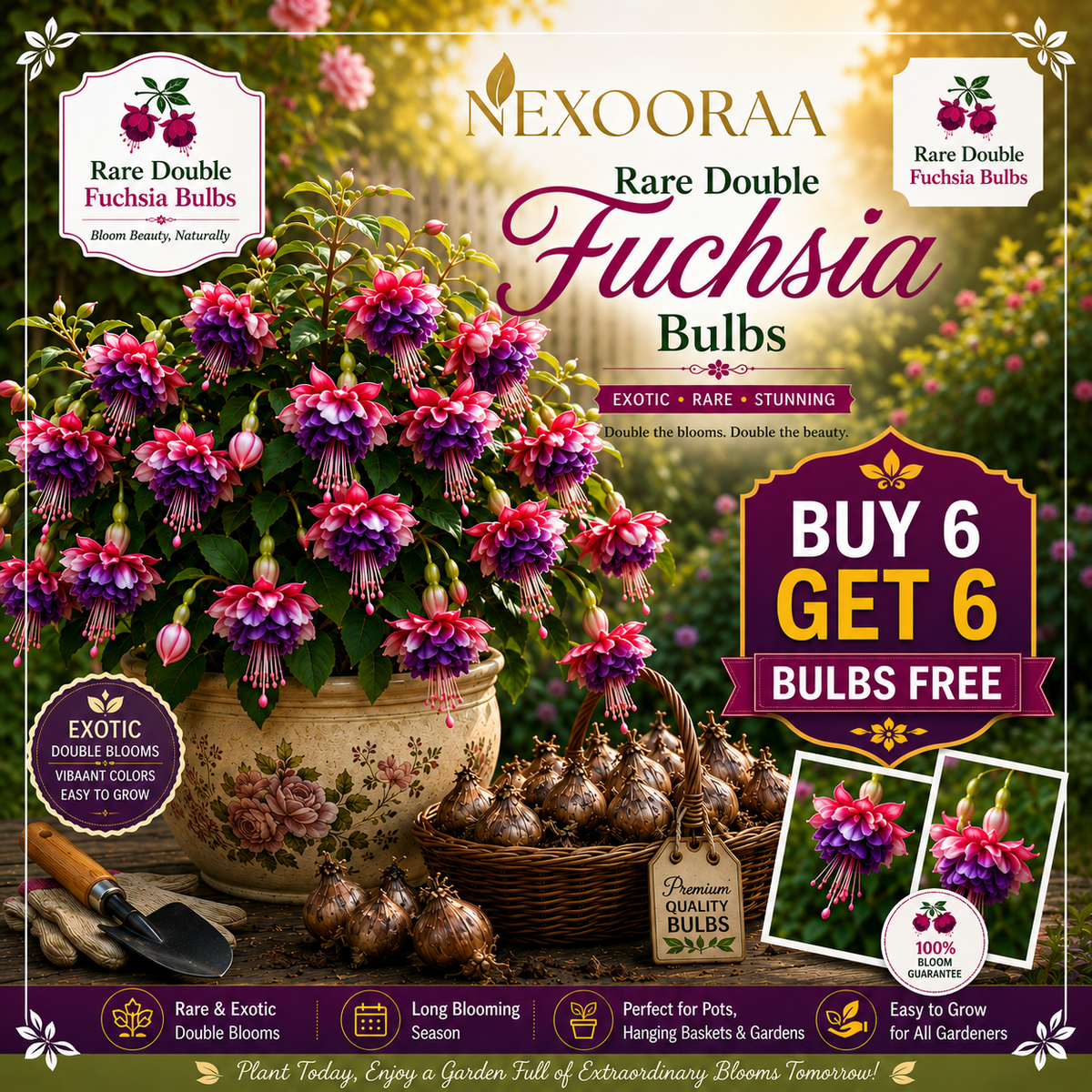 🌸 Rare Double Fuchsia Bulbs – Beautiful Shade-Loving Flowering Plants🔥Buy 6 Get 6 Free Bulbs🔥