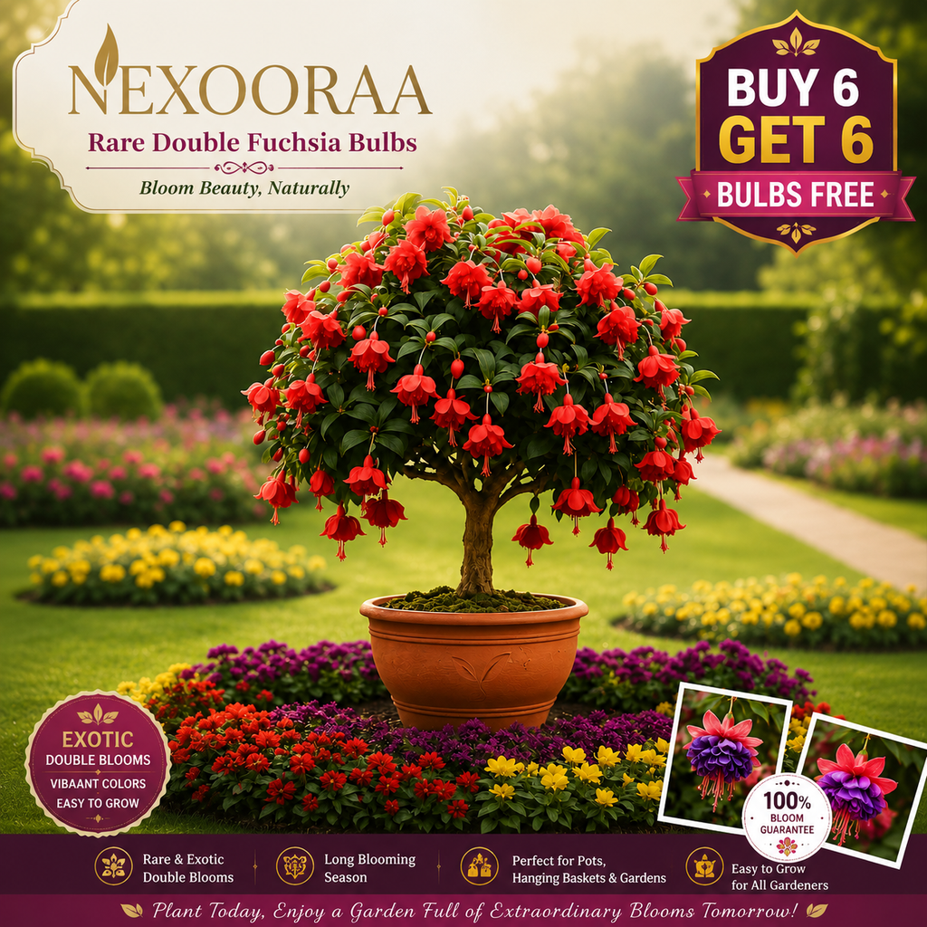 🌸 Rare Double Fuchsia Bulbs – Beautiful Shade-Loving Flowering Plants🔥Buy 6 Get 6 Free Bulbs🔥
