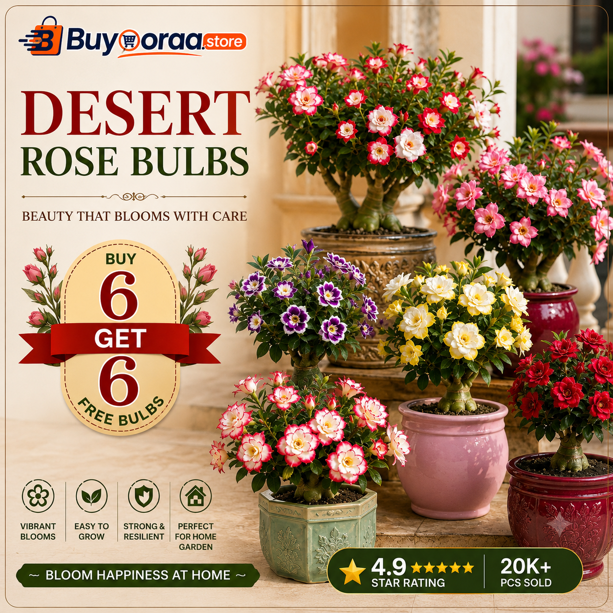 🥰HOT SALE 49% OFF🥰 🌵🌺DESERT ROSE BULBS🔥Buy 6 Get 6 Free Bulbs🔥