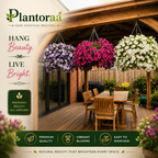 🔥Last Day 50% OFF🔥UV Resistant Artificial Petunias Flowers Bulbs🌸 Buy 6 Get 6 Free Bulbs🌸