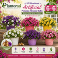 🔥Last Day 50% OFF🔥UV Resistant Artificial Petunias Flowers Bulbs🌸 Buy 6 Get 6 Free Bulbs🌸