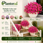 🔥Last Day 50% OFF🔥UV Resistant Artificial Petunias Flowers Bulbs🌸 Buy 6 Get 6 Free Bulbs🌸