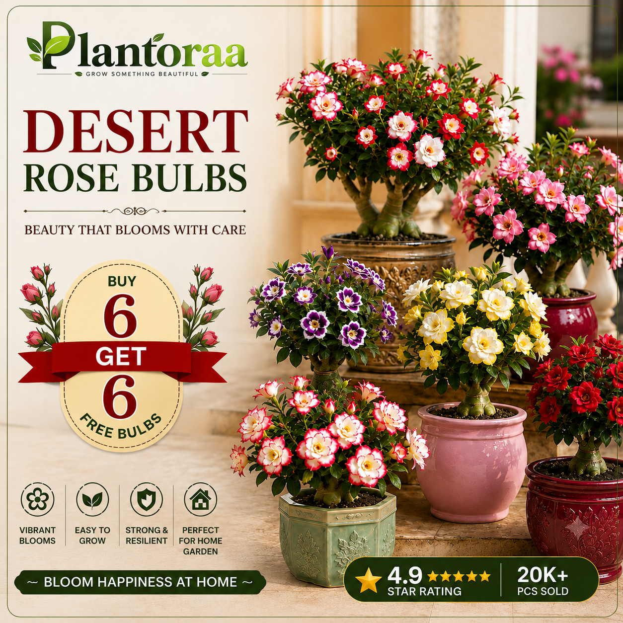 🥰HOT SALE 49% OFF🥰 🌵🌺DESERT ROSE BULBS🔥Buy 6 Get 6 Free Bulbs🔥
