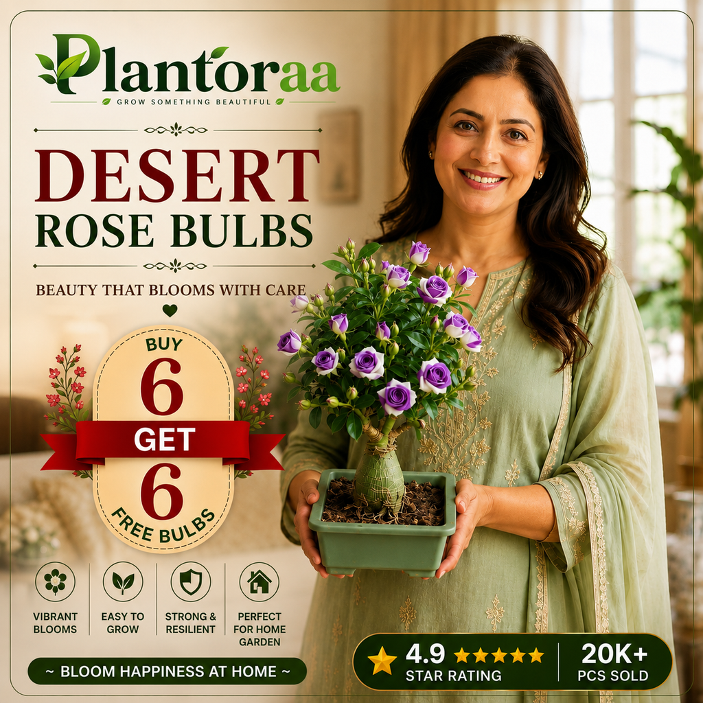 🥰HOT SALE 49% OFF🥰 🌵🌺DESERT ROSE BULBS🔥Buy 6 Get 6 Free Bulbs🔥