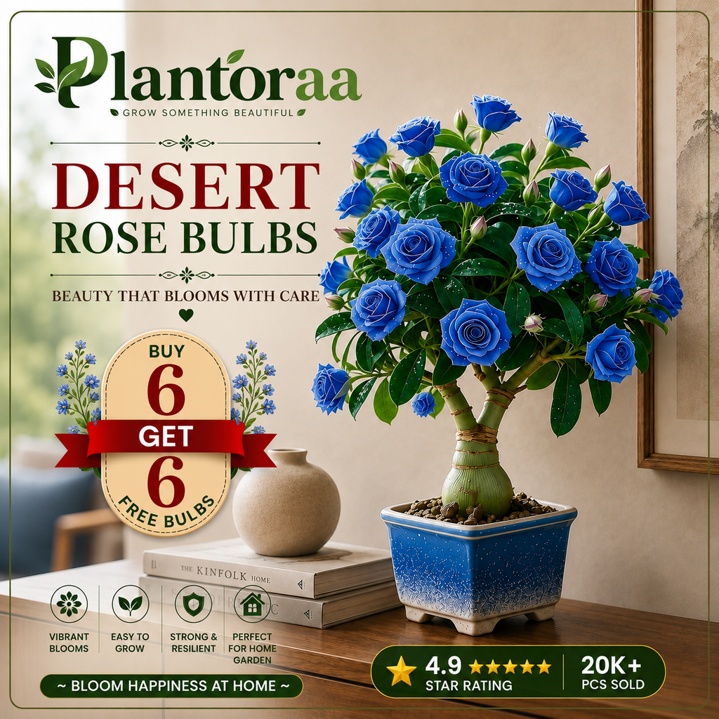 🥰HOT SALE 49% OFF🥰 🌵🌺DESERT ROSE BULBS🔥Buy 6 Get 6 Free Bulbs🔥