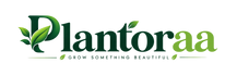 Plantoraa Store - Home